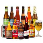 Belgian Craft Beer Mixed Case with Glass (12 Pack) - Beer Gifts for Men, Beer Gift Set, Birthday Beer, Craft Beer Gift Set, Beer Gifts, Lager Gift Set, World Beers, Beer Selection