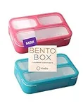 Snack Container - Small Bento Lunch