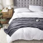 Serta Luxuriously Soft Plush Electr