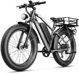 Jasion EB5 MAX Electric Bike for Ad