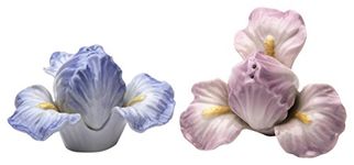 CG 20892 3.25" Blue and Purple Pair of Iris Salt and Pepper Shaker Set
