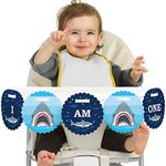 Big Dot of Happiness Shark Zone 1st Birthday - I Am One - First Birthday High Chair Banner