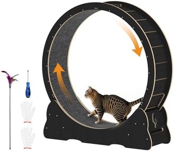 Cat Wheel