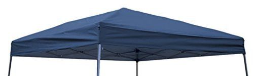 Trademark innovations 10x10 Canopies