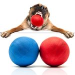 Petopedia 2 X 3 Strong Solid Rubber Ball HIGH BOUNCING Virtually Tough Dog Toys Interactive Dog Toys For Boredom Strong Natural Rubber Balls for dogs (3 inches)