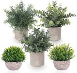 ilauke Set of 5 Mini Potted Artificial Plants Fake Small Eucalyptus Rosemary Greenery Plastic Faux Green Grass Potted Plants Decorative Fake Plant for House Office Balcony Desk Bathroom Decoration