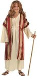 RG Costumes 90284-L Deluxe Moses Co