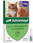 Advantage Spot On Flea Treatment For Large Cats and Rabbits Over 4kg (1 pipette, 80mg), Kills Fleas Within 24 Hours, Prevents Further Infestation For Up To Four Weeks in Cats