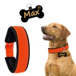 Kraftidy Dog Collar Belt with Name tag id Customized for Small Medium Large Dogs Neck Collar with Personalized Dog Name (Orange) (Medium Dogs) Nylon, ?15.79 x 8.73 x 7.46 cm