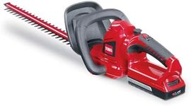 Toro 20 Volt Max 22 Inch (56 Centim