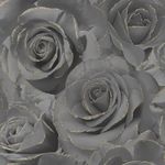 Muriva Madison Rose Glitter Wallpaper - Modern Wallpaper for Living Room, Bedroom, Fireplace - Decorative Luxury Wall Paper with Large Photographic Black Roses with Glitter Detailing (Black & Gold)