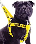 Adopt ME Yellow Color Coded L-XL Non-Pull Dog Harness (New Home Needed) Donate to Your Local Charity