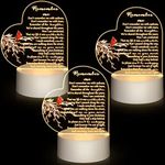 3 Pack Memorial Gifts Night Light R