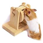Wepets Rat Enrichment Foraging Toys