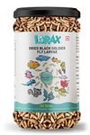 Lorax Fish Food Black Soldier Fly Larvae Dried All Life Stages Fish Food Treat -50 gm