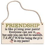 Handmade Wood Plaque Sign 8 x 4 inch (Funny BFF Gifts Sign New)