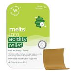 Wellbeing Nutrition Melts Acidity Relief | Clinically Proven Natural Antacid with Amla, Caraway, Fennel, Mint | Relief for Acidity, Heartburn, Bloating, Indigestion, Acid Reflux, 30 Oral Strips