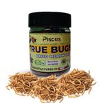 PISCES True Bugs Dried Mealworms 100 ml | for Turtle, Hedgehog,Rodent etc