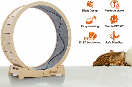 STAR CATWHEEL XL Cat Treadmill – Exercise Wheel for Large Cats