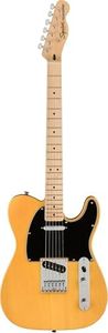 Squier by 