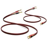 WOWLED 2 Pack High-end Pure Copper HIFI OFC Speaker Wire Cable with Banana Plug, 4m Gold-Plated Banana Tip Plugs Male to Male 600 Strand 14 AWG Audio Speaker HIFI System Home Theater 13.12FT