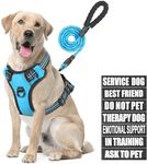No Pull Dog Harness and Leash Set, Animire in Training Service Dog Vest with 7 Dog Patches, Emotional Support Therapy Dog Harness for Small, Medium, Large, and Extra-Large Dogs