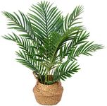 Kazeila Artificial Plants Indoor in Pot 60cm Tall Fake Plants Palm Tree Plastic Faux Tropical Plant for Home Living Room Decoration(1Pack)