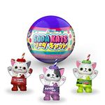 Funko Paka Paka: Soda Kats - Blind Capsule, One Mystery Figure, Multicolor