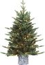 Puleo International Pre-Lit 3' Potted Artificial Christmas Tree with 50 Lights, Green