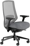 Branch Ergonomic Chair Pro - Mesh O