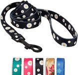 CollarDirect Floral Dog Leash Nylon Pattern Flower Print Adjustable Pet Leashes for Dogs Small Medium Large Puppy (M, Black)