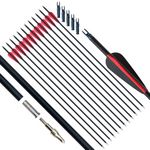 D&Q 12PCS Archery Arrow, Hunting Arrows 31.5", Carbon Arrows Archery with 3" Feathers, Replacement Screw Arrow Points,Targeting Arrows for Recurve Bow, Longbow and Compound bow (Red & Black)