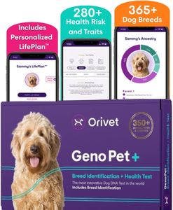 ORIVET GenoPet Plus Dog DNA Test – Breed & Health Screening Kit