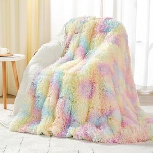 Uttermara Weighted Blanket Queen Size 20 lbs for Adults 60x80 inches, Long Shaggy Faux Fur and Cozy Warm Sherpa Reverse Weighted Blankets for Winter, Thick Heavy Blanket for Sofa Bed, Rainbow