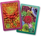 Springbok Succulents Standard Index Playing Cards Set