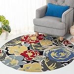 Safavieh Four Seasons Collection FRS437A Hand-Hooked Black and Multi Indoor/ Outdoor Round Area Rug (5' Diameter)