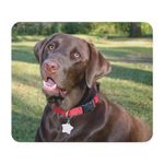 CafePress Chocolate Lab Mousepad Non-Slip Rubber Mousepad, Gaming Mouse Pad