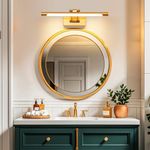 TYhogar LED Bathroom Mirror Lamp, Brass Dimmable Indoor Wall Light 40cm 8W Swivel Lamp Head Straight Arm Swing Vanity Mirror Wall Lighting, Living Room Study Bedroom Sconce Reading Picture Lamps
