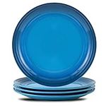 Hasense Ceramic Dinner Plates Set o