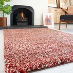 Plush Shaggy Rugs Red Grey Soft Mottled Thick Pile Large Small Cream Russet Lounge Living Room Bedroom Area Rug 121cm x 171cm