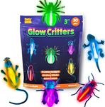 Glow Critters and Halloween Trick o