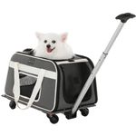 PETSFIT Airline Approved Dog Carrier with Wheels Designed for Small Dogs/Cats with Adjustable Safety Rope & Removable Wheels, 50.5cm Lx 31cm W x 36.5cm H