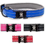 Elite Paws® UK: Premium Metal Buckle Dog Collar, Strong, Safe, Padded, Comfortable, Reflective, Adjustable, Secure Fit with Metal Lead Attachment, Puppy Walking/Training Product (25cm-30cm, Blue/Grey)
