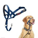 HALTI Headcollar - To Stop Your Dog Pulling on the Lead. Adjustable, Reflective and Lightweight, with Padded Nose Band. Dog Training Anti-Pull Collar for Medium Dogs (Size 3, Cobalt Blue)