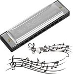 RosewineC Harmonica, 10 Holes 20 Tones Mouth Organ Key of C Stainless Steel Mini Blues Harmonica for Kids Adults Beginners and Performers