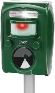 Livoni Cat