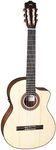 Cordoba C5 CE Spruce Top Nylon String Guitar
