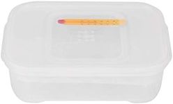 Snakes Gecko Lizards Reptiles Eggs 