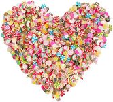 Ehope 3000 PCS 3D Polymer Slices DIY Nail Art Slime Supplies Charms Slime Making Kit Decoration Arts Crafts(Cake Slices)