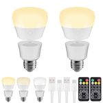 LGMCF Rechargeable Light Bulb with DC & Type-C 2IN1 Charging, E27 Battery Powered Light Bulb with Remote Control, 700LM Dimmable Light Bulb with Magnetic Base Detachable for Non Hardwired Lamps, 2 Pcs